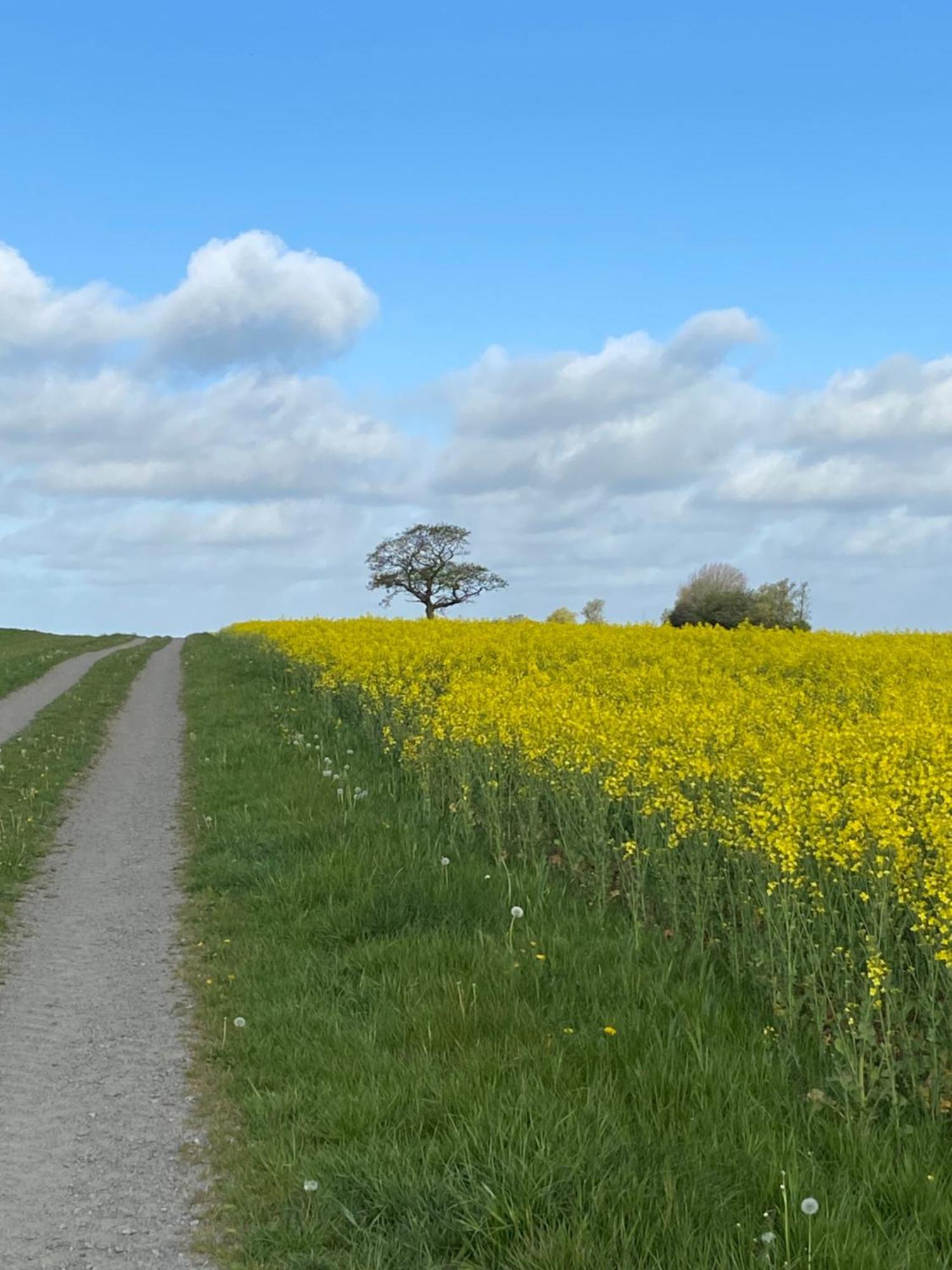 Blomstertantens Hus Trelleborg